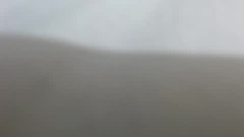 Suzy online show from February 2026 12:34:02 PM