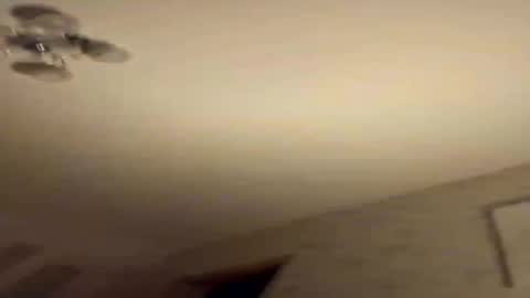 suzyhere online show from July 2026 01:52:01 AM