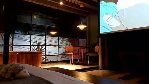 svenseries online show from February 2025 04:44:02 AM