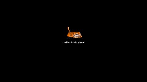 Brad online show from June 2026 04:01:02 AM