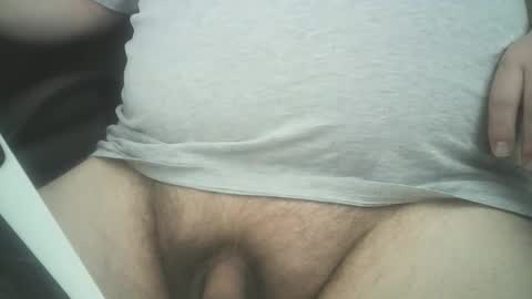 Snapshot of swedishdude22 chatting on April 2026 03:47:02 PM swedishdude22 online show from April 2026 03:47:02 PM