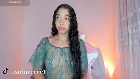 Snapshot of sweet_carine chatting on January 2025 12:31:01 PM camil online show from January 2025 12:31:01 PM