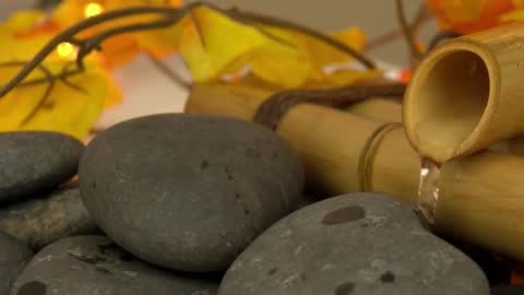 Sandra online show from October 2025 01:28:01 PM