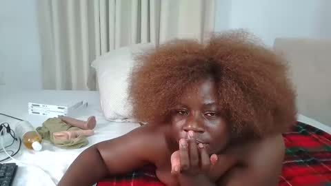 NASHA online show from February 2026 12:04:02 AM