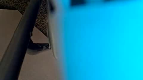 sweetboy842 online show from January 2025 02:32:01 AM