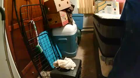 sweetcumfullofaglass online show from October 2025 08:19:01 PM