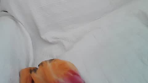 Stacy online show from July 2026 02:05:17 AM