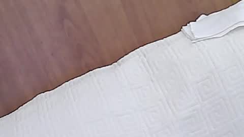 Stacy online show from July 2026 04:39:33 PM