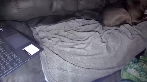 sweetgesus online show from January 2025 03:53:02 AM