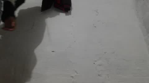 Camilo online show from February 2026 11:09:02 AM