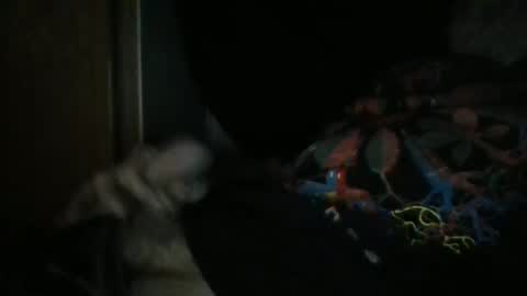 sweetpussylicks online show from December 2024 08:55:02 AM