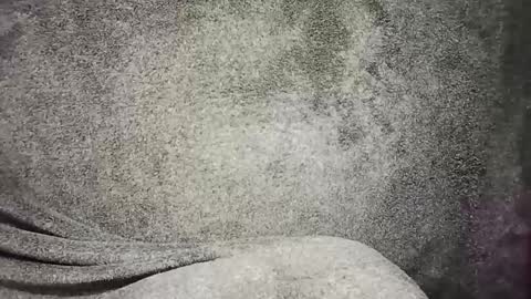 Snapshot of t0ny_cawk chatting on December 2024 07:54:02 AM t0ny_cawk online show from December 2024 07:54:02 AM