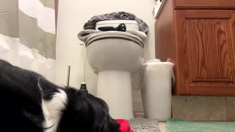 tRex online show from November 2025 04:11:01 AM