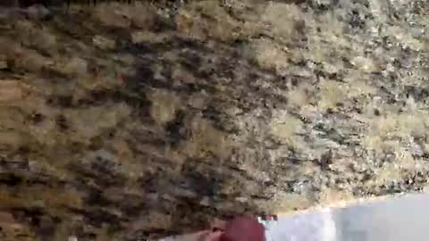 Canon online show from March 2026 04:47:02 PM