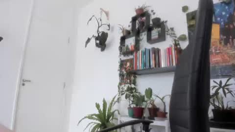 Tali Majid online show from November 2025 11:44:01 AM