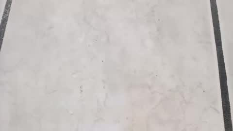 tall6feet7inch online show from September 2025 08:16:02 AM