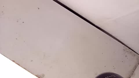 tall6feet7inch online show from February 2026 02:24:01 AM