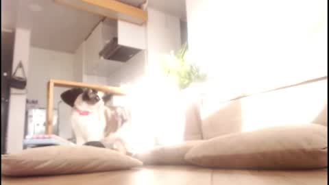 Tamara online show from September 2025 09:58:01 PM