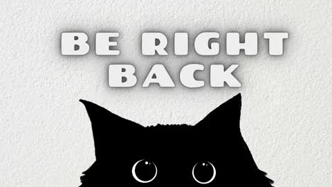 Rousaly online show from January 2026 11:37:02 AM