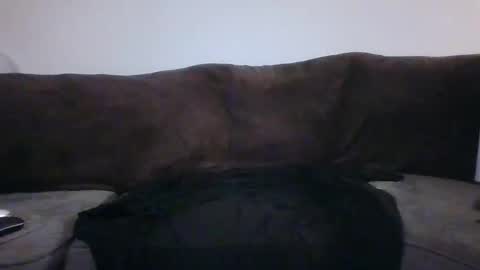 tarshil017 online show from November 2025 08:26:02 AM