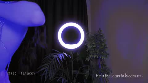 Snapshot of tatacoy chatting on October 2025 02:07:02 PM TataCoy online show from October 2025 02:07:02 PM