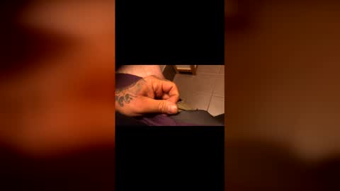 tattedtradie online show from April 2026 09:01:02 AM