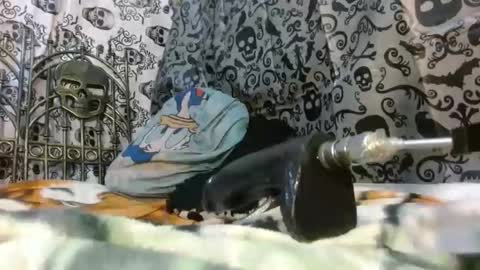 Katty badbitch online show from October 2025 09:55:02 PM