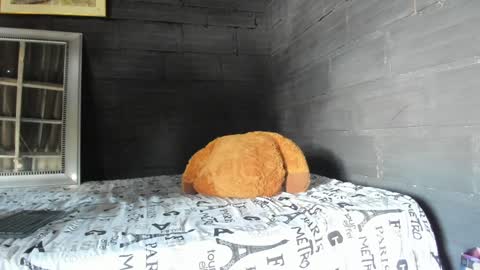  T A U R U S  online show from January 2025 06:02:01 PM