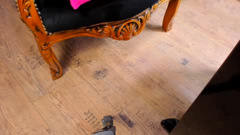 Mistress Taylor online show from December 2024 10:37:01 PM