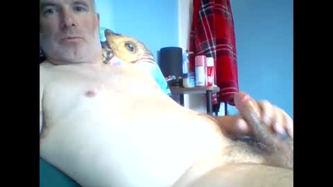 tazo78 online show from November 2025 12:58:02 PM