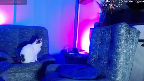 Charlee He online show from June 2026 02:59:01 AM