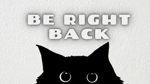 Ted online show from January 2026 07:48:01 PM
