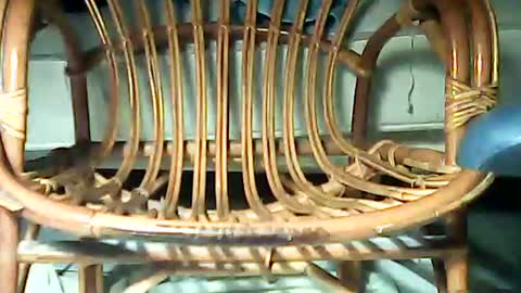 Snapshot of telecommandedu26 chatting on February 2025 11:23:02 AM telecommandedu26 online show from February 2025 11:23:02 AM