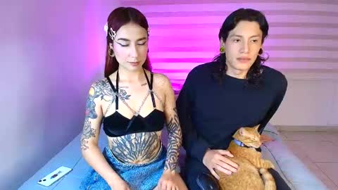 tender_dust online show from June 2026 04:35:02 AM