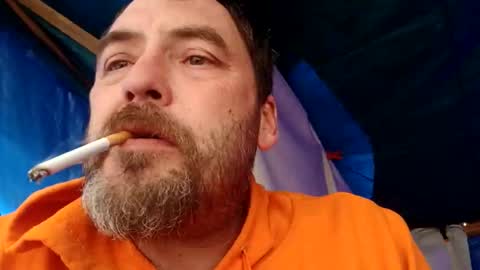 tennesseea online show from November 2025 06:42:02 PM