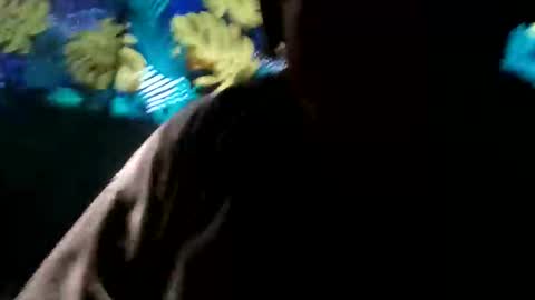 tennesseea online show from November 2025 03:23:01 PM