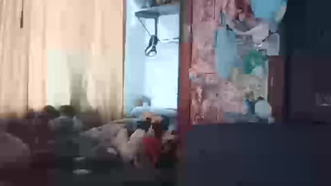 Terra Elowen online show from March 2026 01:27:02 PM