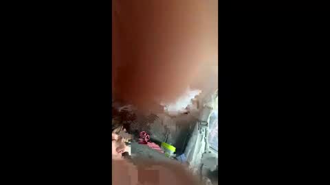 Snapshot of teslajustdoit chatting on March 2026 09:10:01 PM teslajustdoit online show from March 2026 09:10:01 PM