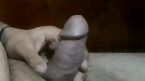 texasbigdaddy63 online show from September 2025 10:43:02 PM