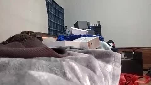 TexasDick online show from January 2025 07:30:01 AM