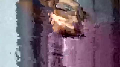 TexasDick online show from November 2025 01:55:02 AM