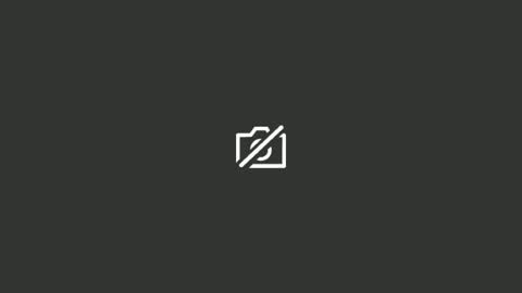 tgrizzelstarseedpornstar online show from June 2026 08:20:01 AM