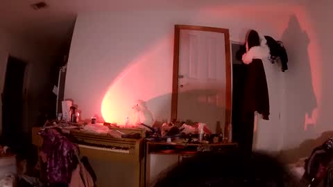 thaliagodiva online show from January 2025 02:10:01 AM