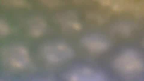 that_thing20 online show from March 2025 07:06:02 PM