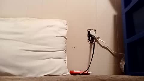 Snapshot of thatb1 chatting on December 2025 04:50:01 AM thatb1 online show from December 2025 04:50:01 AM