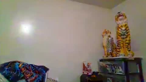 thatgirl4201 online show from November 2025 05:27:02 AM