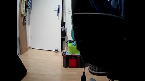 the75major online show from February 2025 12:15:02 PM