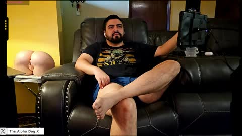 Snapshot of the_alpha_dog_xxx chatting on May 2026 05:51:01 PM the_alpha_dog_xxx online show from May 2026 05:51:01 PM