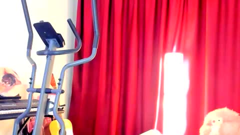 Ally    STREAMING ON TWITCH NOW Check my Twitter for updates online show from October 2025 02:51:02 AM