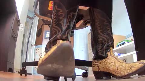 thecowboy_74 online show from November 2025 04:07:01 PM